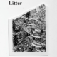 Litter – Brian Cheung